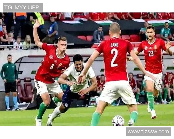爱尔兰与威尔士激战中球员意外受伤断腿引发广泛关注与讨论