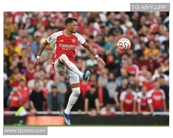 厄德高的崛起与挑战:从天才少年到足球世界的璀璨明星之路