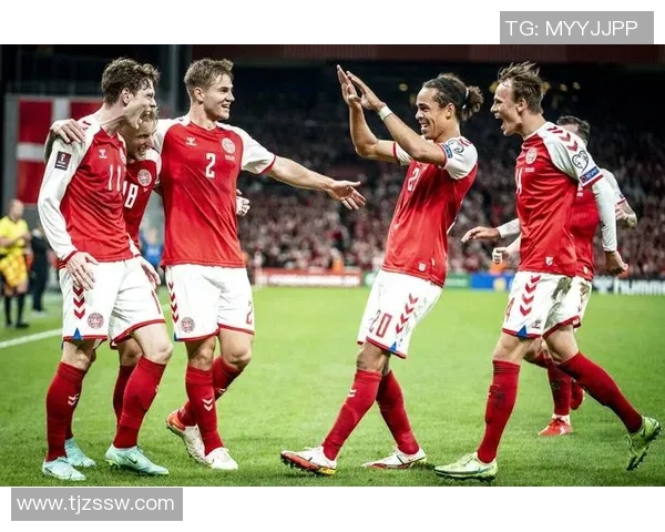 法国与丹麦比赛技术统计分析全面解读