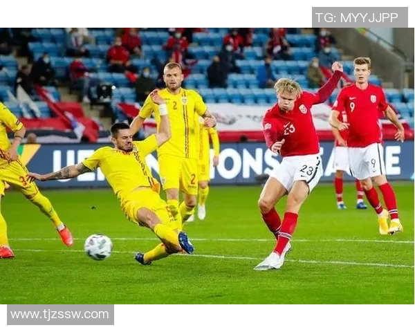 新西兰与黑山世界杯对决精彩回顾与赛后分析 新西兰与黑山世界杯对决精彩回顾与赛后分析