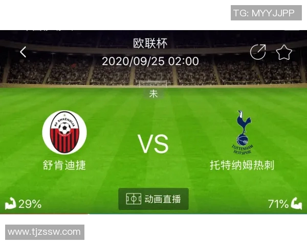 罗森博格与特母的对决解析：战术较量与球员表现的深度剖析