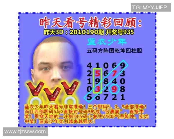 探索彩之网3D绕胆图的奥秘与应用价值解析